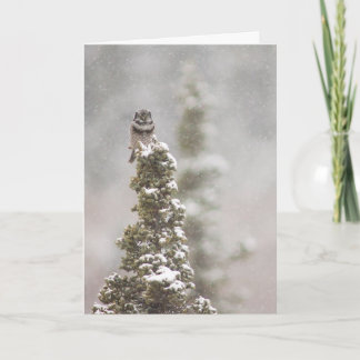 Cartes Pour Fêtes Annuelles Salutation de la saison de la Chouette du Nord (Su