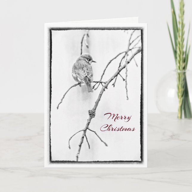 Cartes Pour Fêtes Annuelles Salutation de Noël - Bluebird en noir et blanc (Devant)