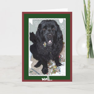 Cartes Pour Fêtes Annuelles Salutation de Noël~Définir Naughty