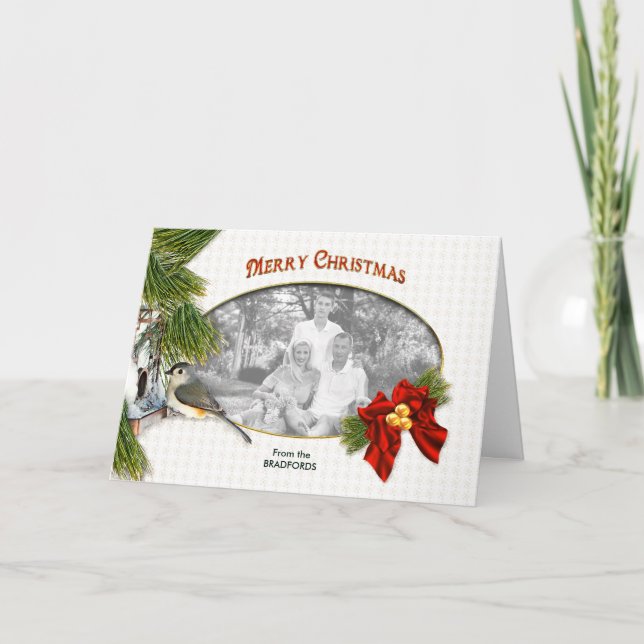 Cartes Pour Fêtes Annuelles Salutation de photos de Noël, Oiseau sur l'aliment (Devant)
