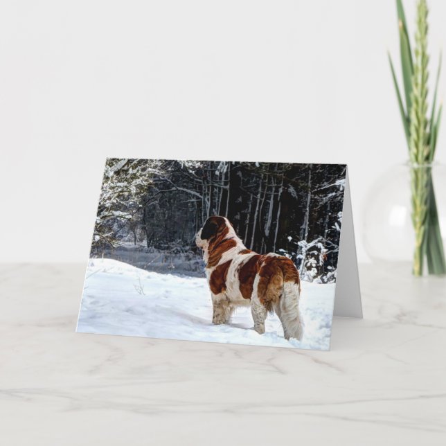 Cartes Pour Fêtes Annuelles Salutation photographique de Noël de neige de St (Devant)