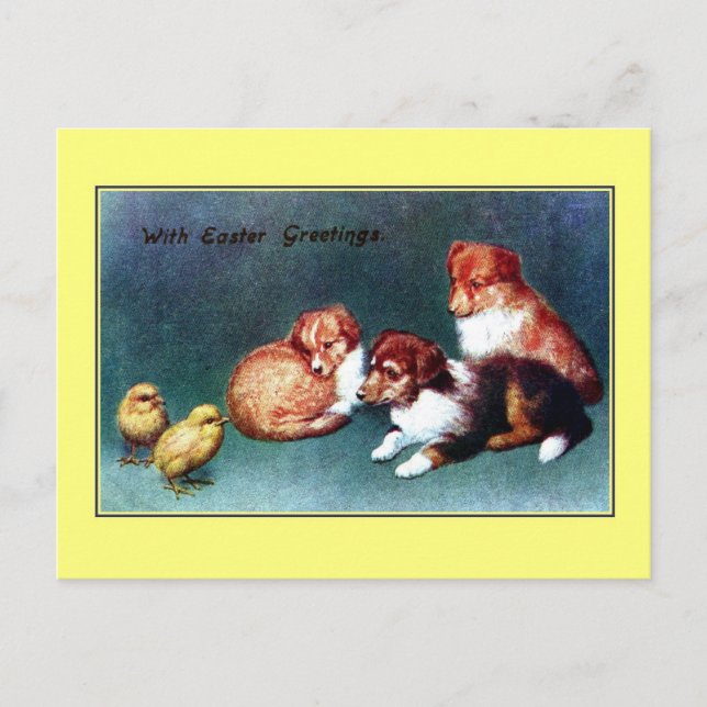 Cartes Pour Fêtes Annuelles Salutations 1906 de Pâques de cru ; chiots de (Devant)