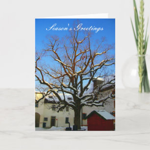 Cartes Pour Fêtes Annuelles salutations d'arbres enneigés