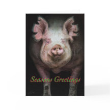 Salutations de cochon