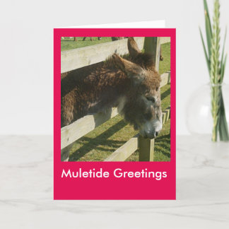 Cartes Pour Fêtes Annuelles Salutations de Muletide