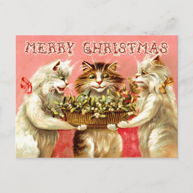 Cartes Pour Fêtes Annuelles Salutations de Noël de Chats avec Mistletoe (Devant)