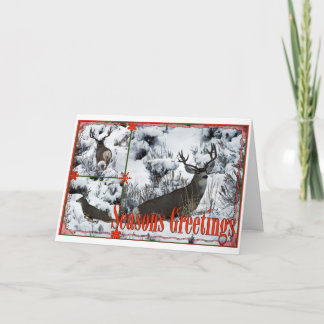 Cartes Pour Fêtes Annuelles Salutations de saison Buck Deer
