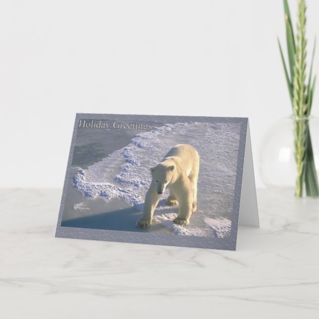 Cartes Pour Fêtes Annuelles Salutations de vacances - ours blanc (Devant)