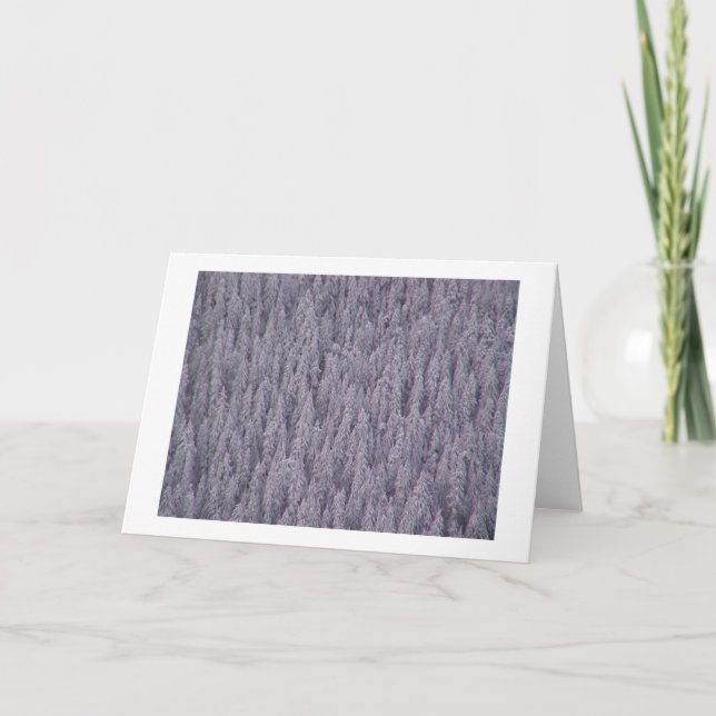 Cartes Pour Fêtes Annuelles Salutations d'hiver (Devant)