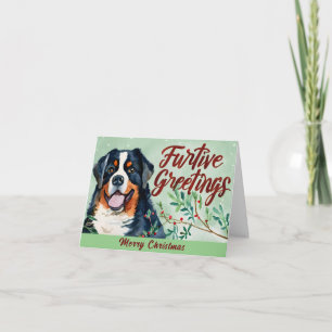 Cartes Pour Fêtes Annuelles Salutations furtives : Noël du chien de montagne b