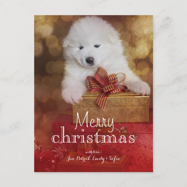 Cartes Pour Fêtes Annuelles Samoyé Chien Chien Avec Cadeaux De Noël (Devant)