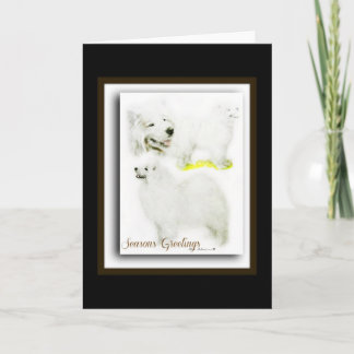 Cartes Pour Fêtes Annuelles Samoyed