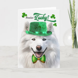 Cartes Pour Fêtes Annuelles Samoyed Dog Feelin' Lucky St Patrick's Day