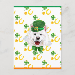 Cartes Pour Fêtes Annuelles Samoyed Shamrock St. Patrick's Day