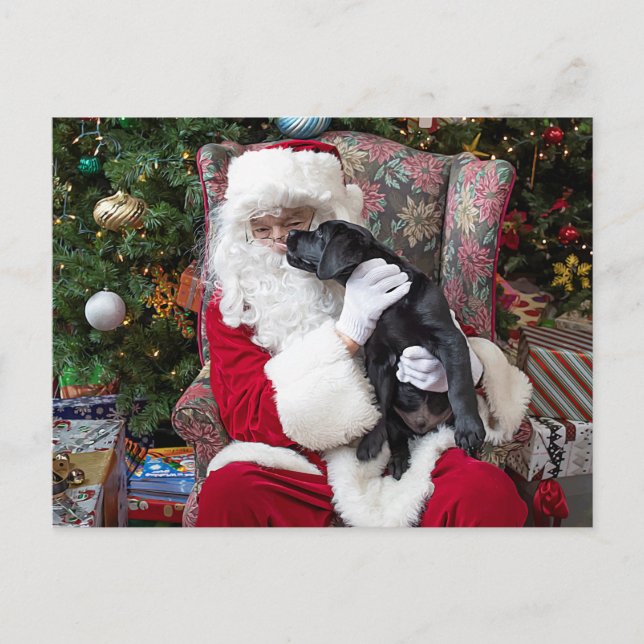 Cartes Pour Fêtes Annuelles Santa Claus Black Labrador Christmas jolie chiot (Devant)