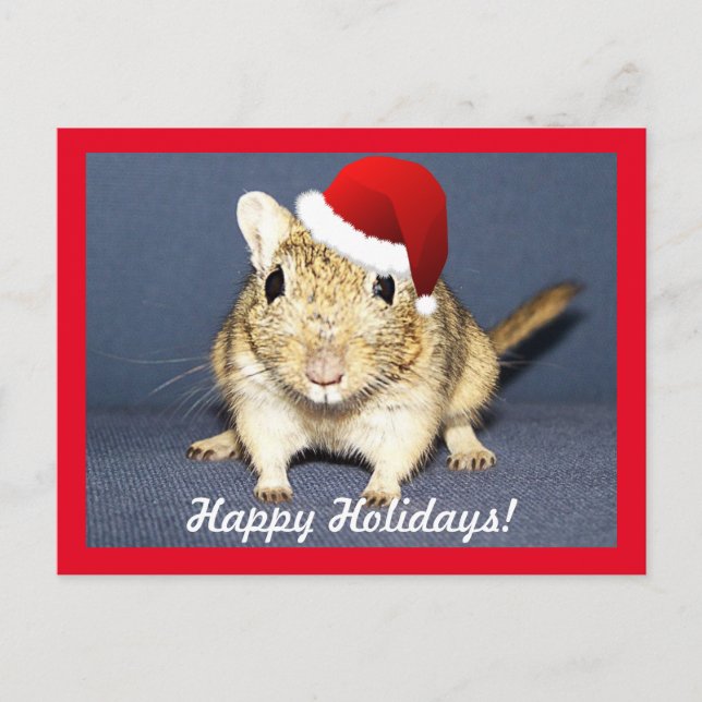 Cartes Pour Fêtes Annuelles Santa Gerbil (Devant)