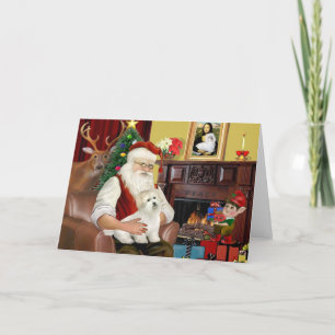 Cartes Pour Fêtes Annuelles Santa's Coton de Tulear (#5)