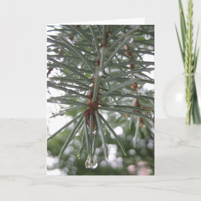 Cartes Pour Fêtes Annuelles Sapin avec des gouttelettes d'eau (Devant)