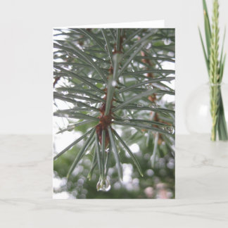 Cartes Pour Fêtes Annuelles Sapin avec des gouttelettes d'eau