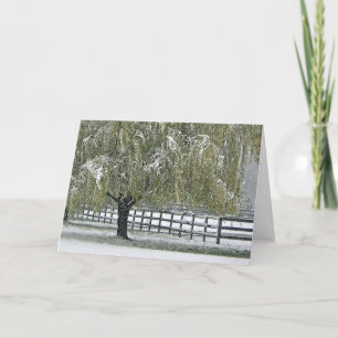 Cartes Pour Fêtes Annuelles Saule d'hiver