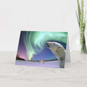 Cartes Pour Fêtes Annuelles Sauvez les ours blancs mis en danger pour Noël