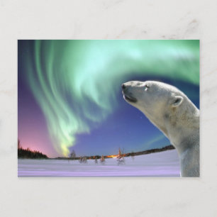 Cartes Pour Fêtes Annuelles Save the Endangered Polar Bears for Christmas
