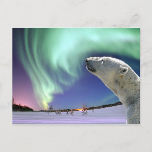 Cartes Pour Fêtes Annuelles Save the Endangered Polar Bears for Christmas (Devant)