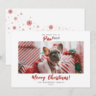 Cartes Pour Fêtes Annuelles Scénario de photo de Noël pour animaux festifs
