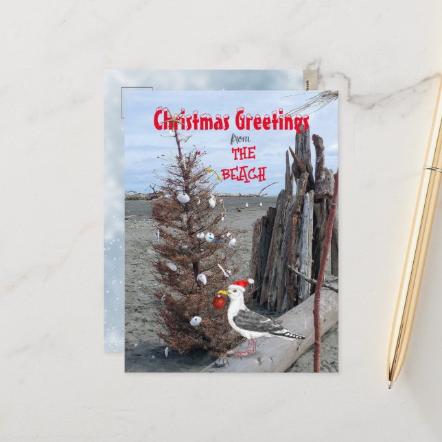 Cartes Pour Fêtes Annuelles Scène de la plage de Noël Photo Seagull Driftwood  (Devant/Arrière en situation)