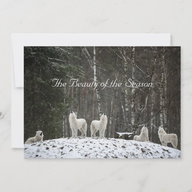 Cartes Pour Fêtes Annuelles Scène de neige jolie nature nom personnalisable (Devant)