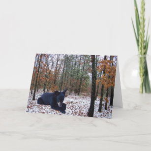 Cartes Pour Fêtes Annuelles Scène d'hiver Black Bear Cub dans les bois