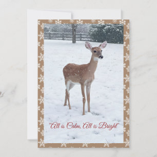 Cartes Pour Fêtes Annuelles Scène hivernale de faon faune sauvage