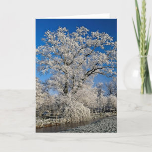Cartes Pour Fêtes Annuelles Scène hivernale gelée, Angleterre
