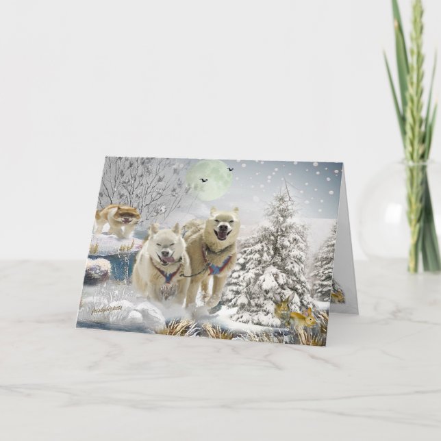Cartes Pour Fêtes Annuelles Scène hivernale sibérienne Husky (Devant)