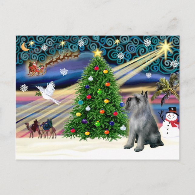 Cartes Pour Fêtes Annuelles Schnauzer magique de Noël (géant P-S) (Devant)
