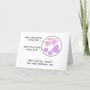 Cartes Pour Fêtes Annuelles Science Valentine Microbiologie Gram Stain Poème L