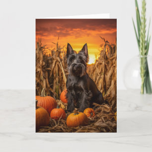 Cartes Pour Fêtes Annuelles Scottie Thanksgiving