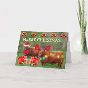 Cartes Pour Fêtes Annuelles Scottish Highland Steer Funny Christmas