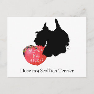 Cartes Pour Fêtes Annuelles Scottish Terrier Valentine