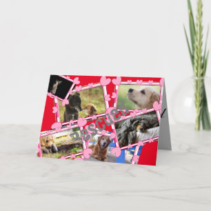 Cartes Pour Fêtes Annuelles Secourir les chiens