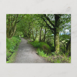 Cartes Pour Fêtes Annuelles Sentier forestier sur l'île de Bute en Écosse par