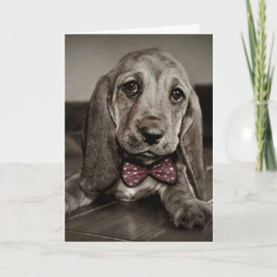 Cartes Pour Fêtes Annuelles Sepia Basset Hound Heureuse Sainte-Valentin chiot