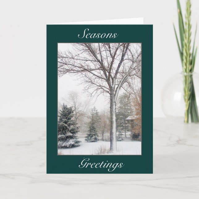 Cartes Pour Fêtes Annuelles Sérénité dans la tempête de neige (Devant)