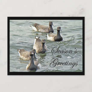 Cartes Pour Fêtes Annuelles Série de Bonnes Fêtes de Bernaches du Canada atlan