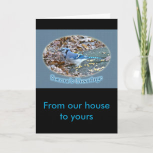 Cartes Pour Fêtes Annuelles Série de vœux de la saison du Geai bleu