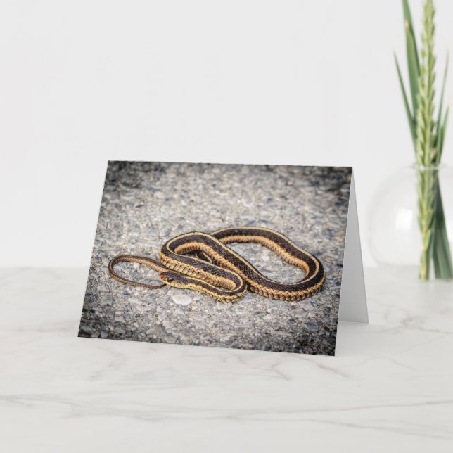 Cartes Pour Fêtes Annuelles Serpent à ruban de l'Est (Serpent à grains) (Devant)