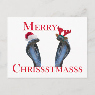 Cartes Pour Fêtes Annuelles Serpents de Joyeux Noël dans les andouillers et le