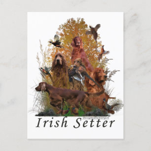Cartes Pour Fêtes Annuelles Setter irlandais