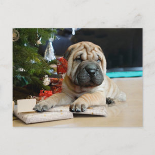Cartes Pour Fêtes Annuelles Shar Pei Noël