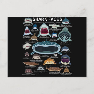 Cartes Pour Fêtes Annuelles Shark faces Which Face Do You Want To Encounter